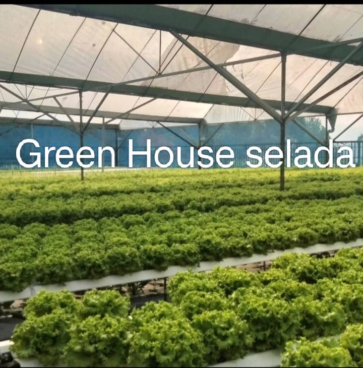 Fasilitas pengemasan Greenhill Farm